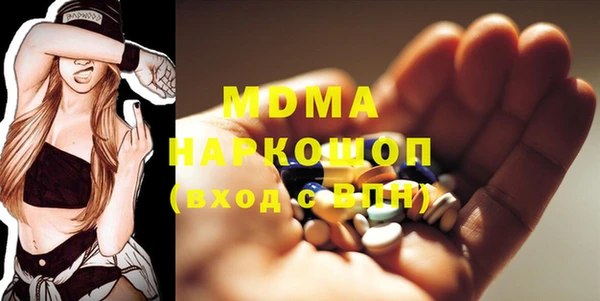 шишки Гусь-Хрустальный
