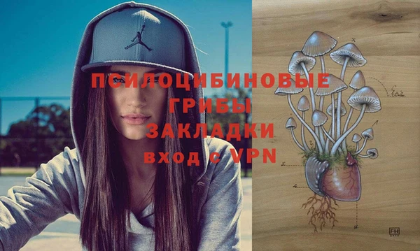 амф Нефтекумск