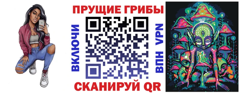 где найти   Няндома  Псилоцибиновые грибы мицелий 